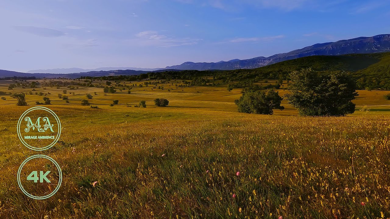 Windy Meadow Fading Into The Night | Relaxing Nature Sounds & Peaceful Landscape | 4K