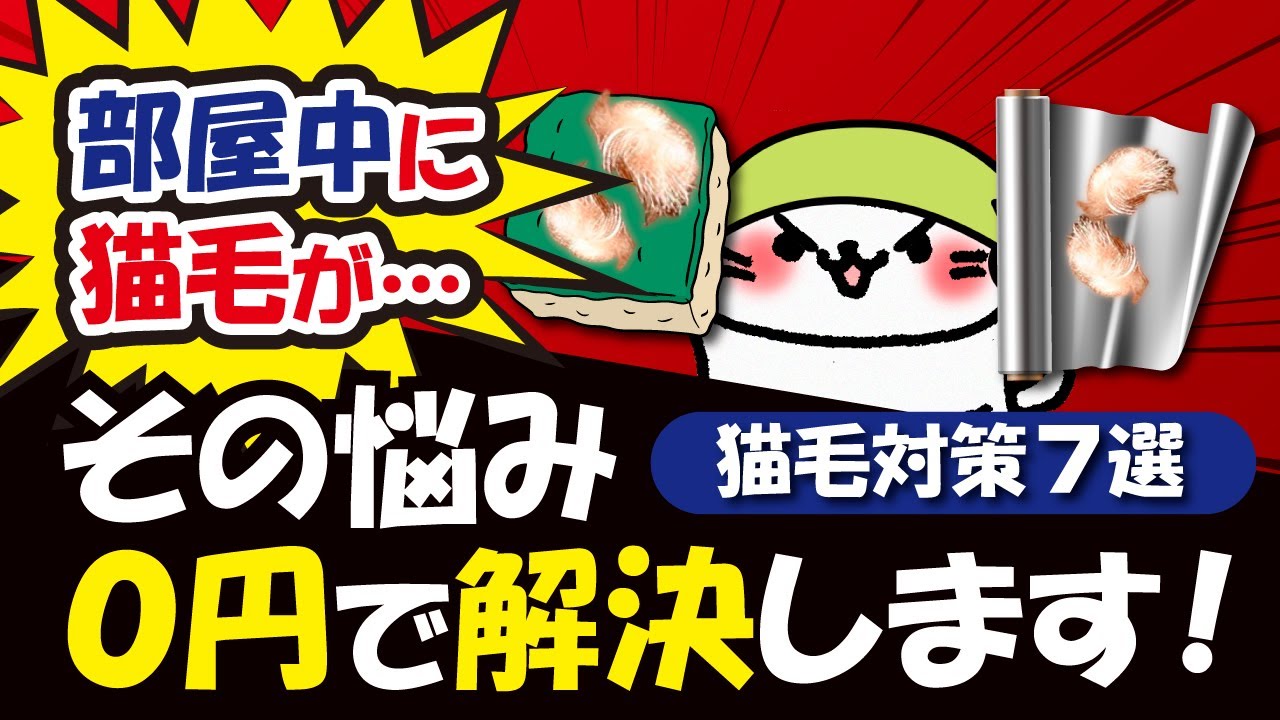 【猫の抜け毛対策】0円でできる！抜け毛を効果的に取る神ワザ7選