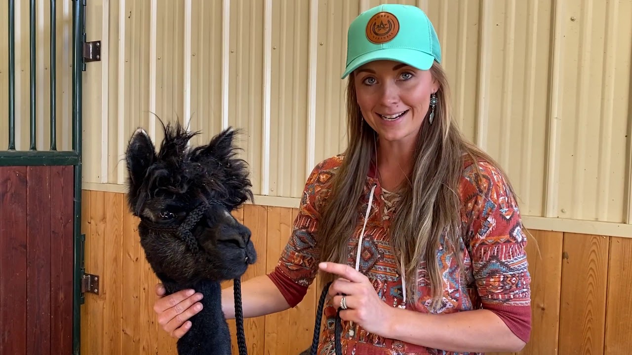 Amber Marshall: A Day in Her life