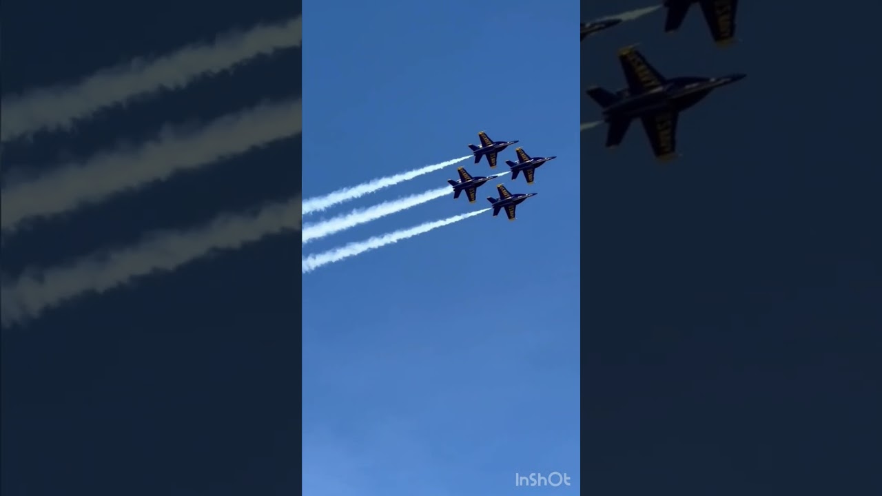 Why all Aircraft have different Wing Structure🛩️ 