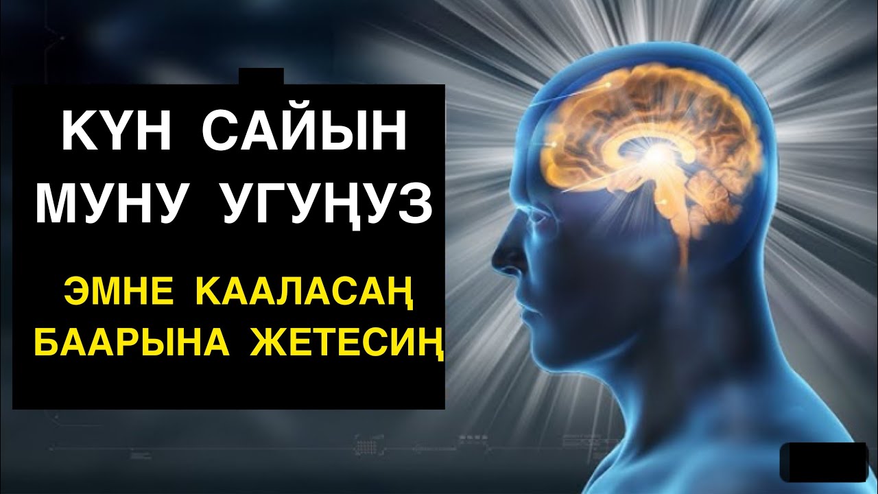Супер план ийгиликтүү күн үчүн. Акмактар тууралуу. Мухаммад Бекмин.