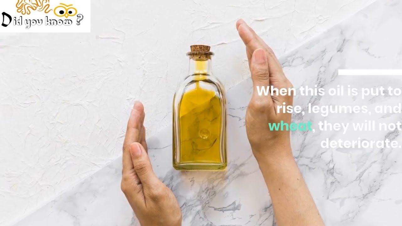 Top 10 Natural Food Preservatives in Food Processing