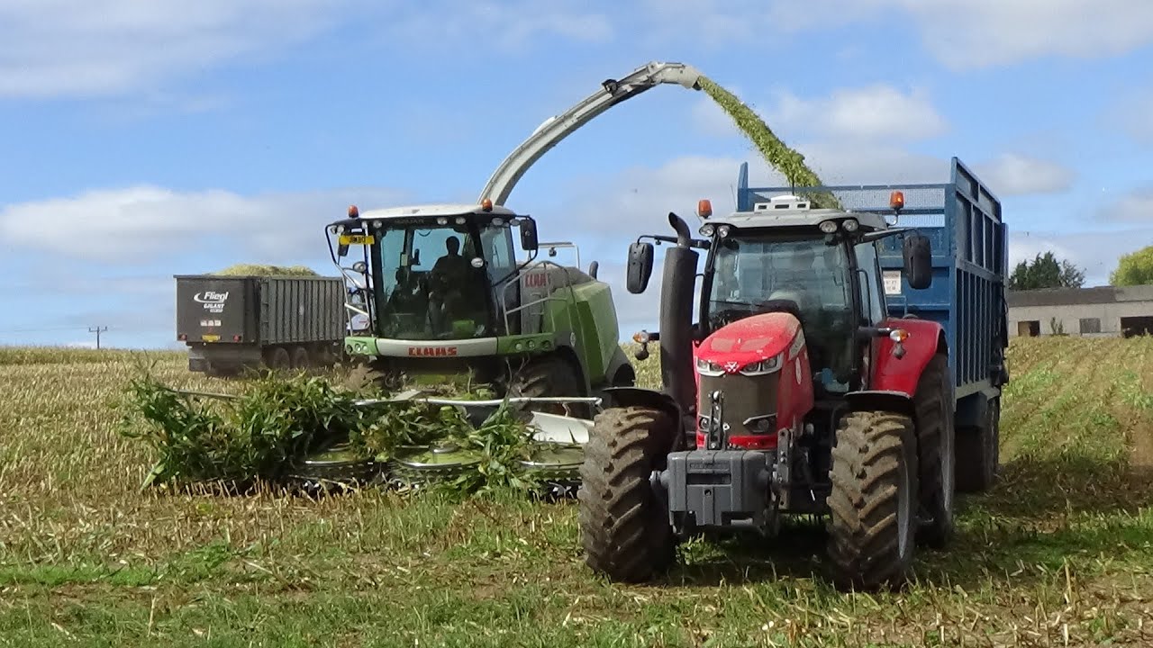 Maize Harvest 2020 UK Compilation - Best Of Maize 2020 - Chopping, Buckraking & Clamp Work