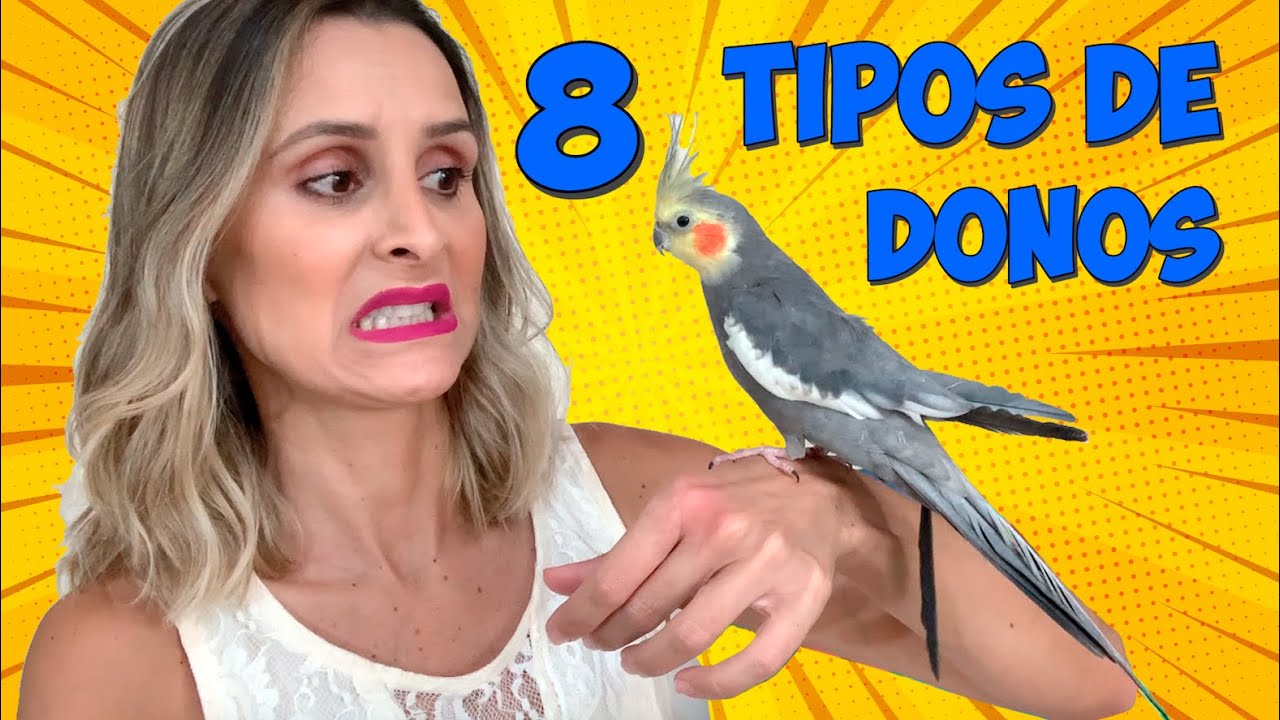 QUE TIPO DE DONO DE CALOPSITA É VOCÊ?