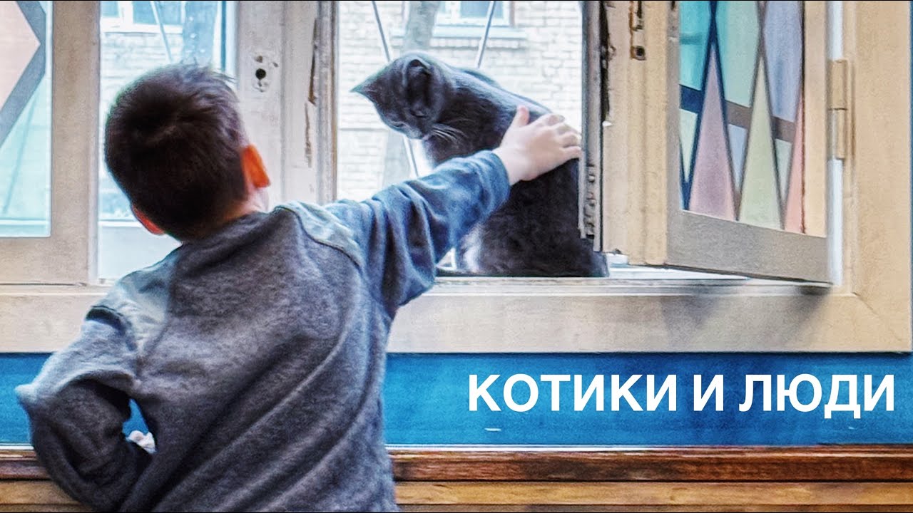 Котокафе &laquo;Котики и люди&raquo; (ул.Гиляровского, д.17)