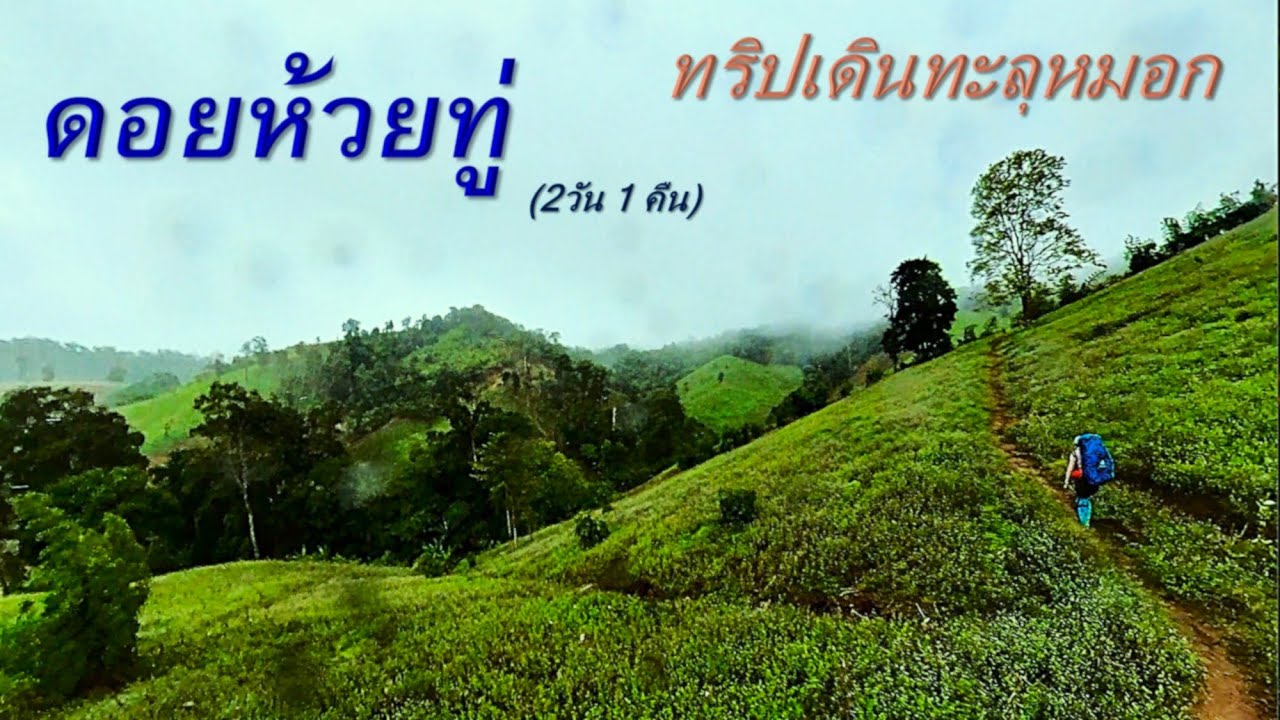 ดอยห้วยทู่ ตาก ทริปเดินป่าทะลุม่านหมอก 2วัน 1คืน