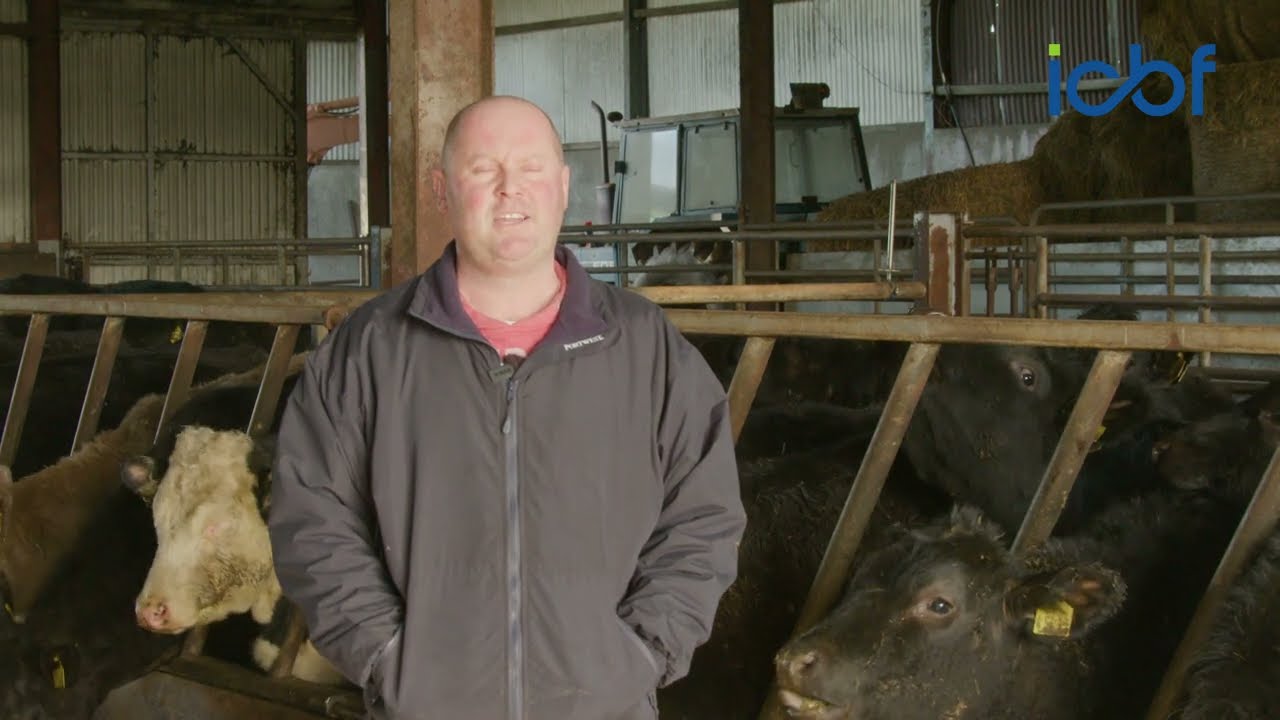Tipperary beef farmer buying better calves with the help of the CBV
