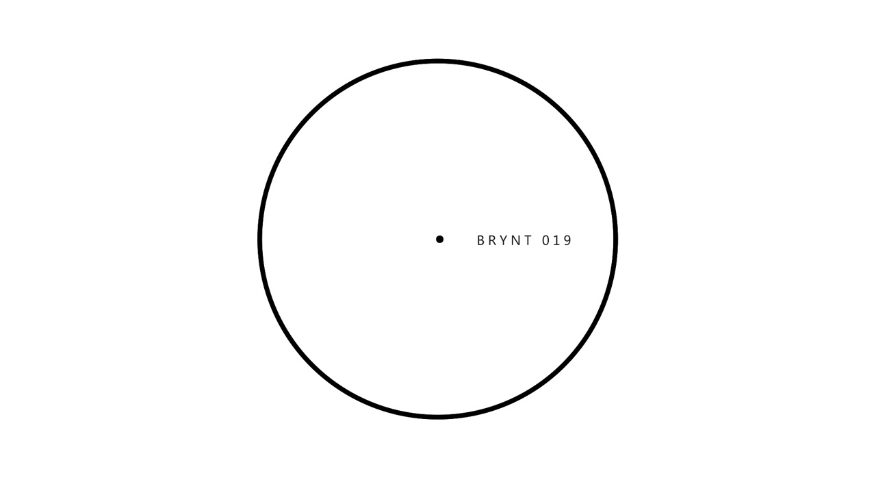 Unknown Artist - Unknown (BRYNT019)