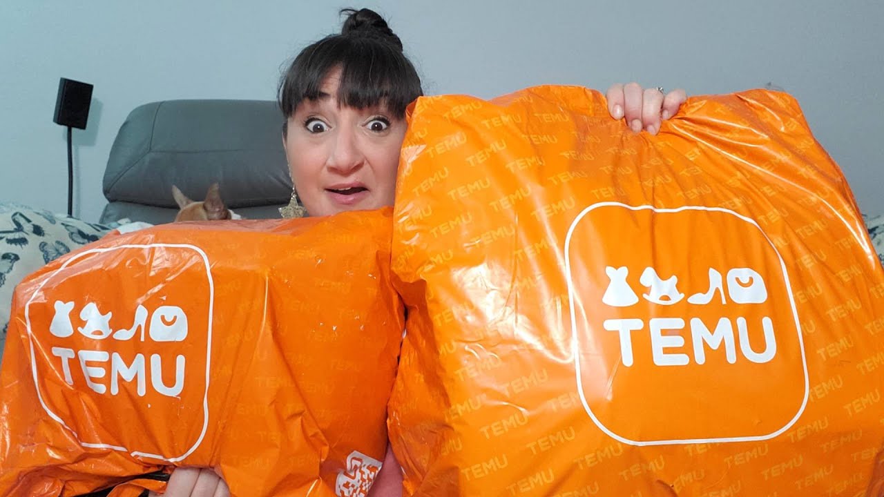 TEMU Haul | 4/3/23 | Functional And Fun