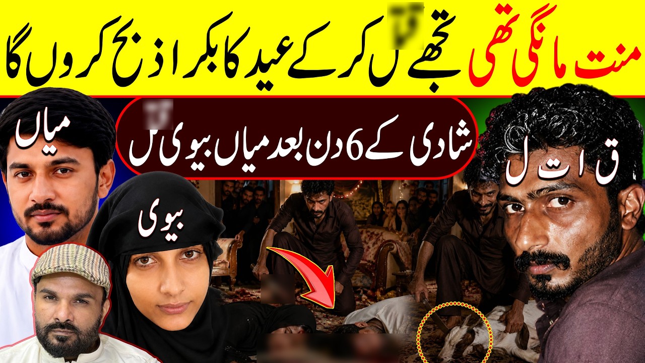Shadi Ke 6 Din Baad Dulhan Dulha Ka Q**  Real Crime Story | Shaan Pakistan