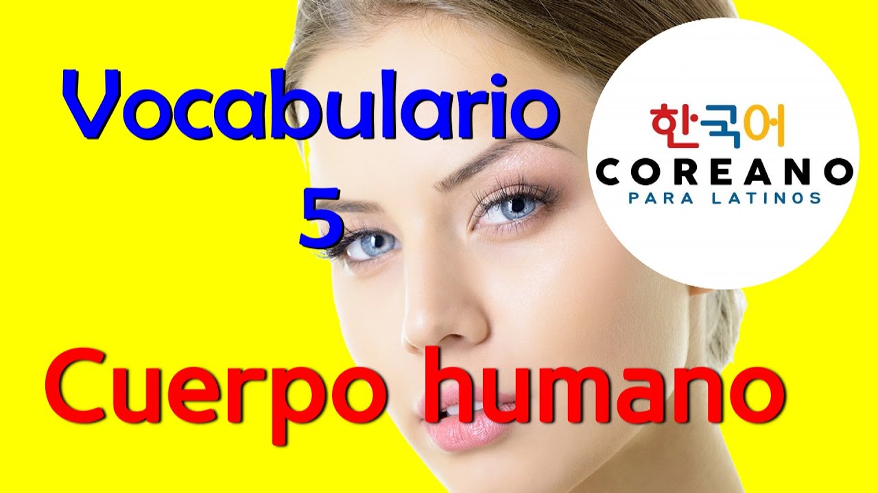 Cuerpo humano en coreano