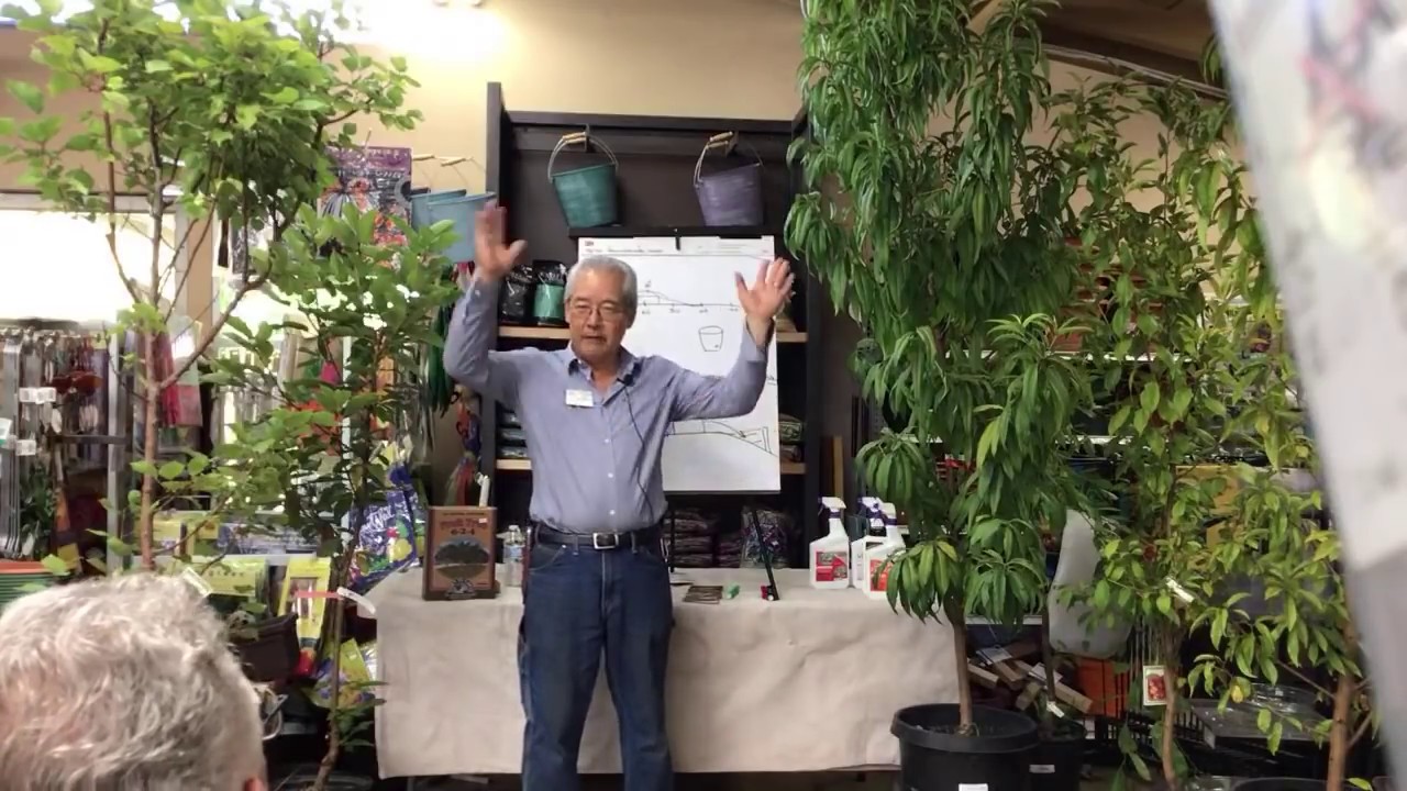 Growing Stone Fruit | LIVESTREAM