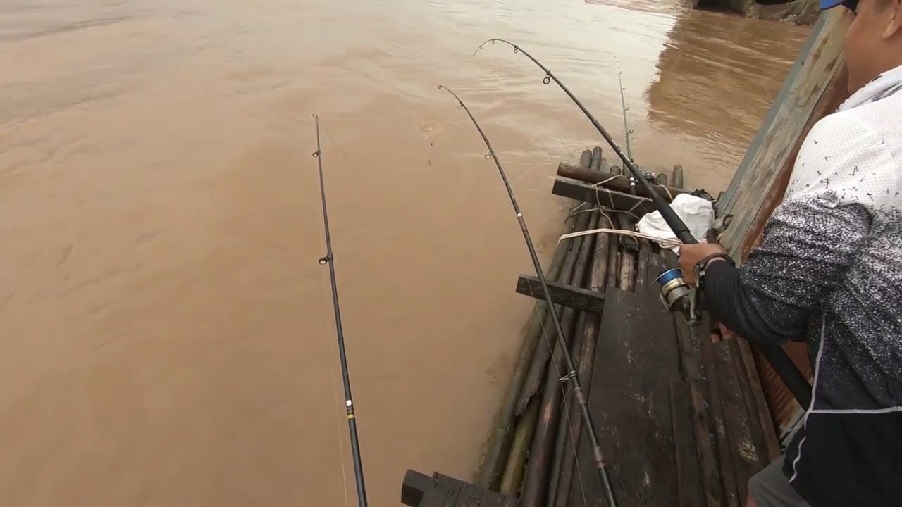 Fishing video by Fishing pole in River| Fishing season Cambodia 2021