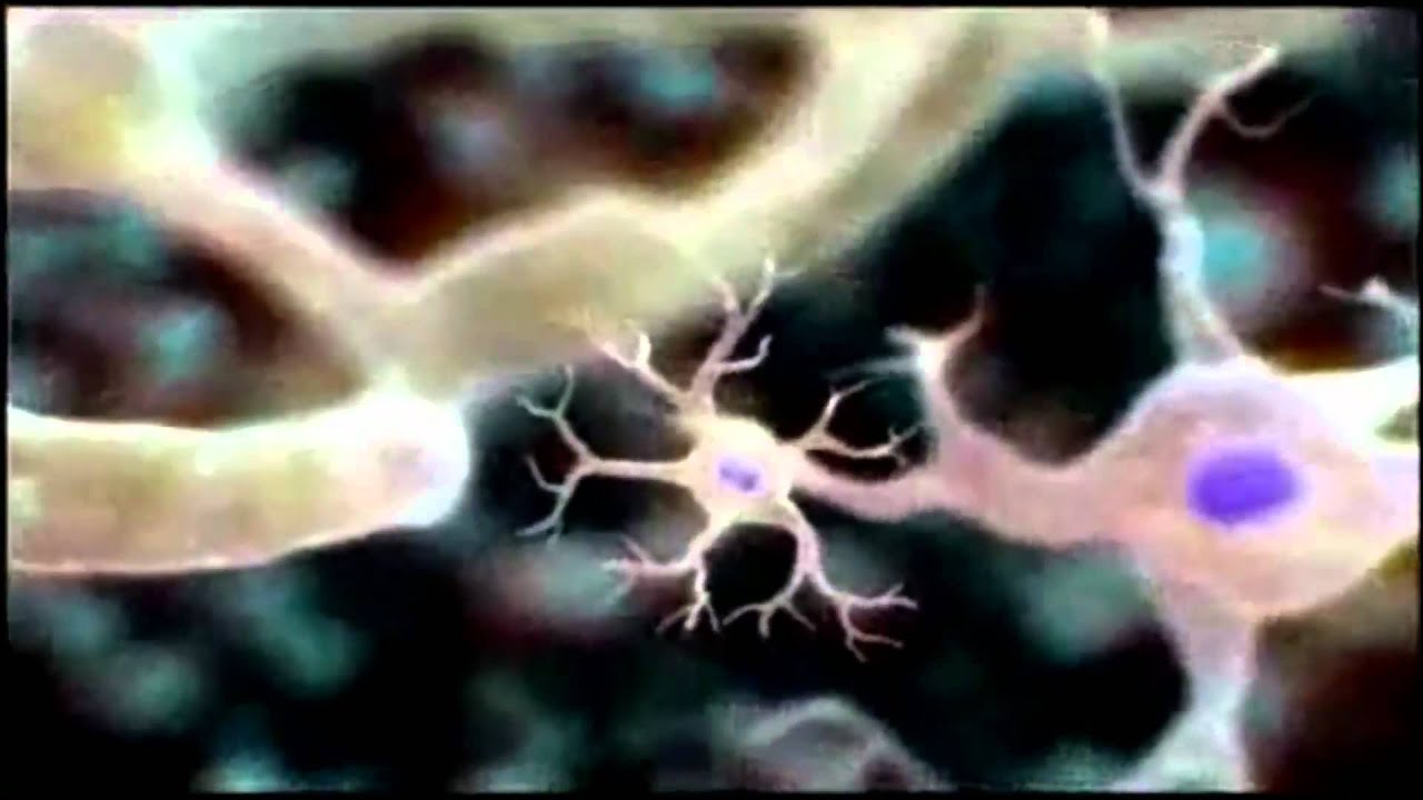 Introduction to Cells