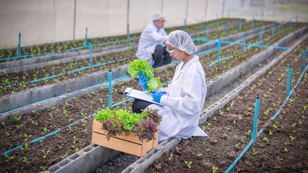 Biotecnologia: rumo à sustentabilidade na agricultura