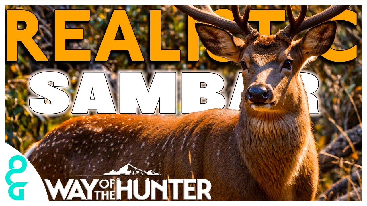 Realistic SAMBAR DEER Hunt, WATCHING THEM GROW | WAY OF THE HUNTER