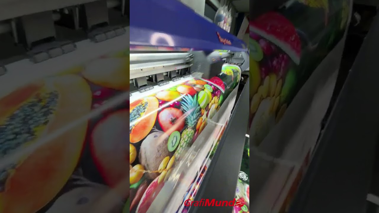 IMPRESORA ECOSOLVENTE COLORJET 6162 DE 2 CABEZALES I3200