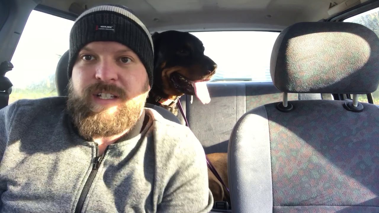 DO YOU HAVE AN OVERLY FRIENDLY/EXCITABLE DOG ??? Watch this !!