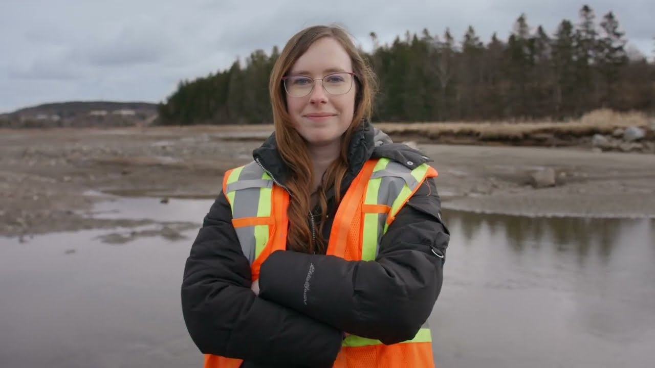GIS Analyst and Environmental Technologist