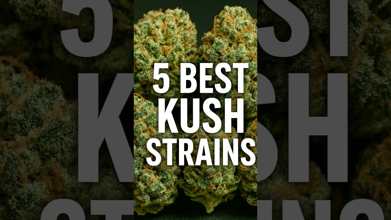 Ranking the Most Famous Kush Strains of All Time, Cannabis Education