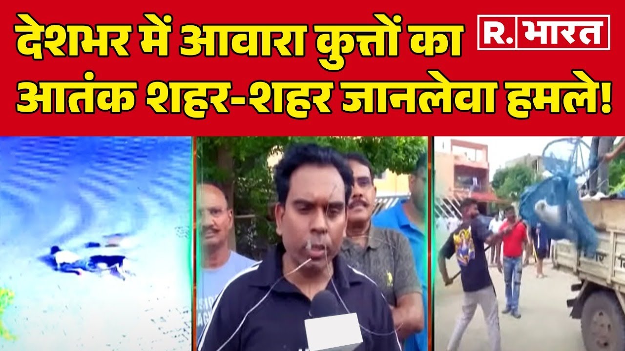Stray Dogs; देशभर में आवारा कुत्तों का आतंक | Supreme Court