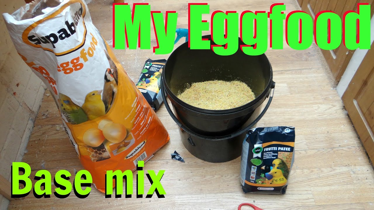 Making Eggfood For Birds