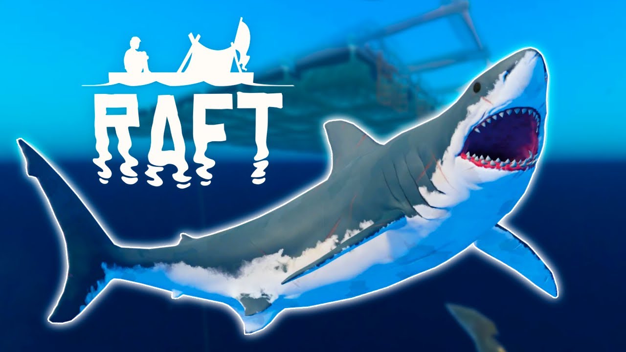 How to deal with the Shark in RAFT - Quick Guide