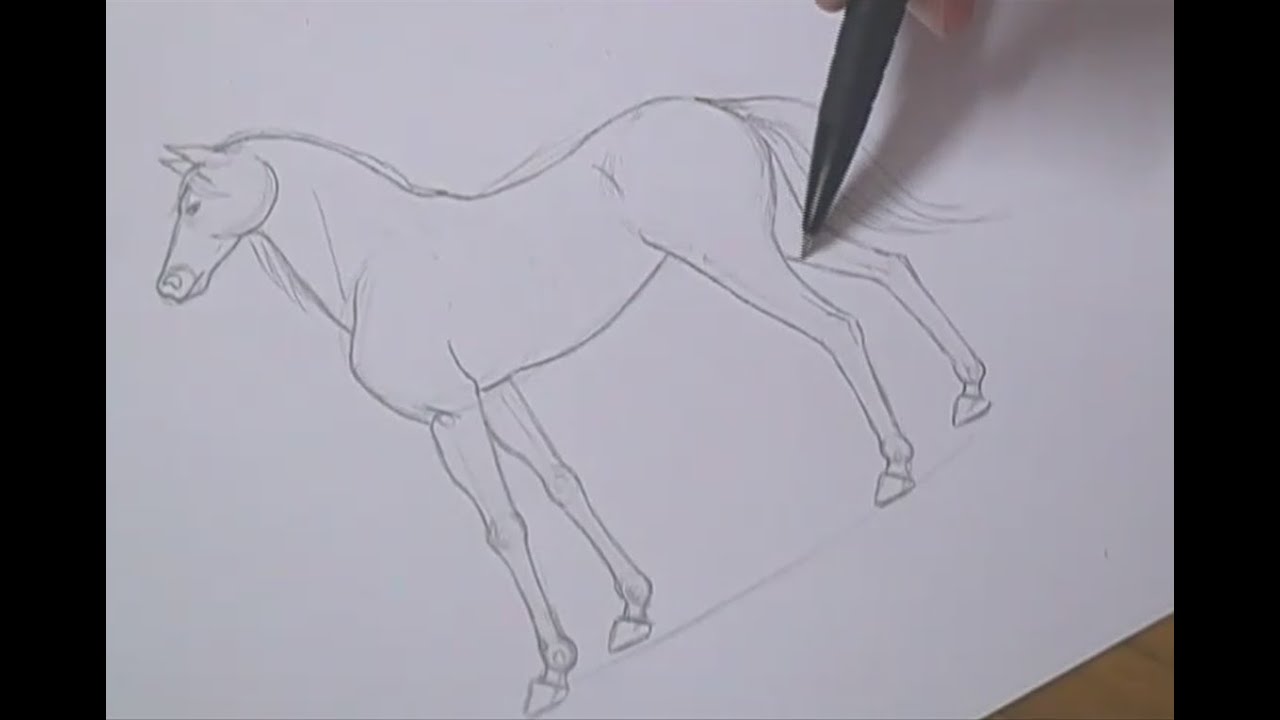 Tutorial - Como desenhar cavalos / How to draw horses