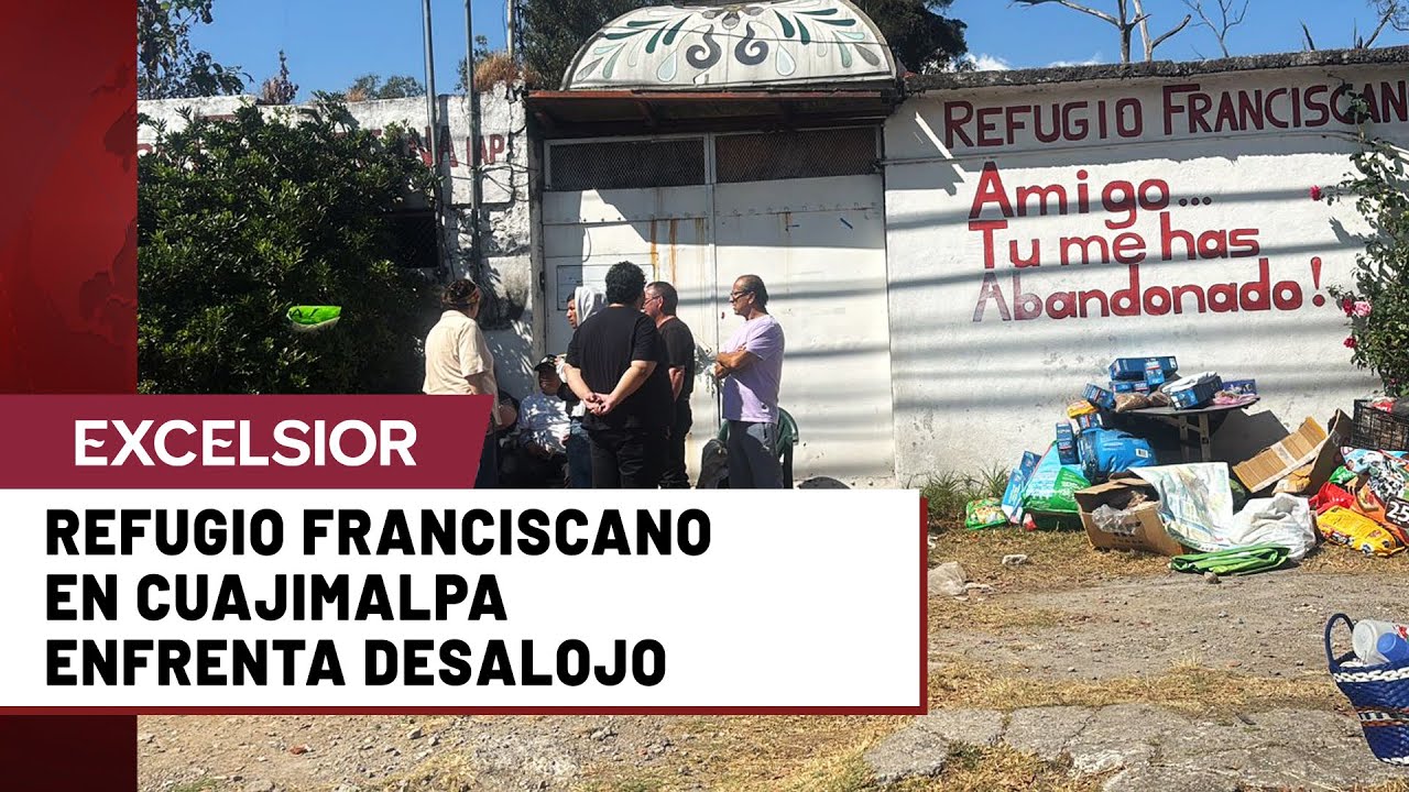 En riesgo m&aacute;s de mil perros por desalojo de refugio animal de la CDMX