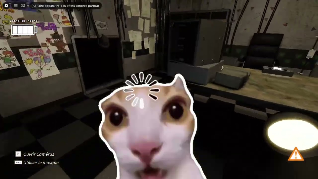 FNAF CO-OP pk j'ai fait ce job 😣