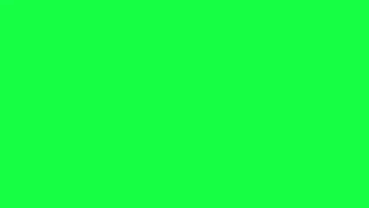 Erin Green Background HD | Hex #00FF40 | Bright Blank Video (No Audio)