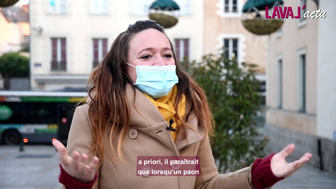 © Ville de Laval - LAVAL'actu #4 / Préparation et installation des Lumières de Laval