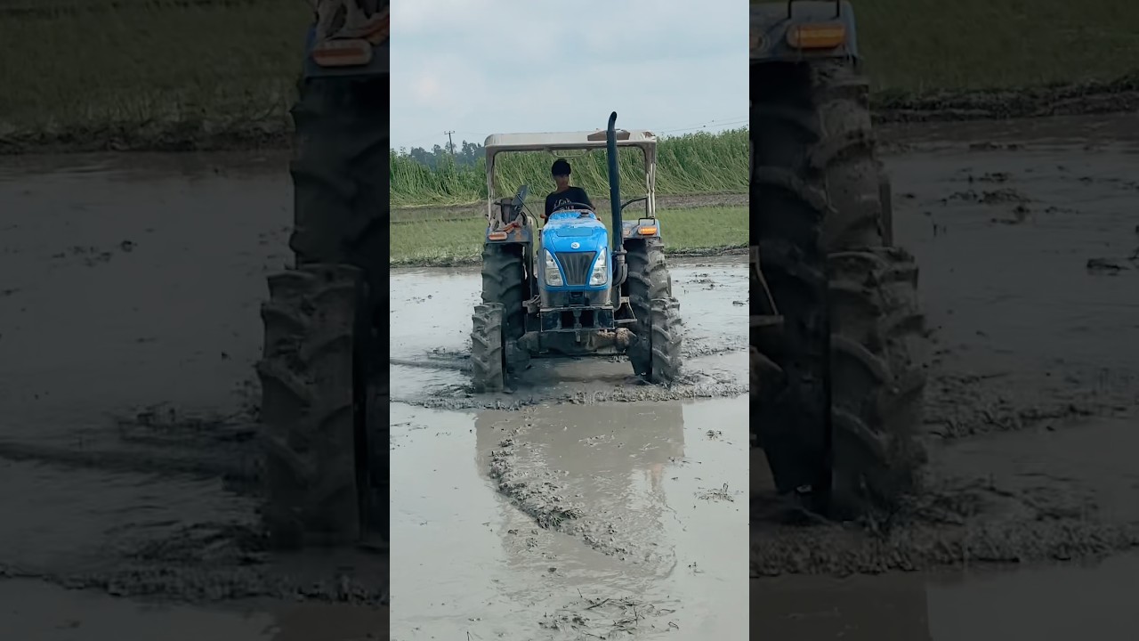 🔥 Tractor Farming in Action | Hard Work in the Field 🚜 #shorts