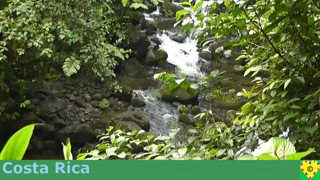National Park Braulio Carrillo Costa Rica
