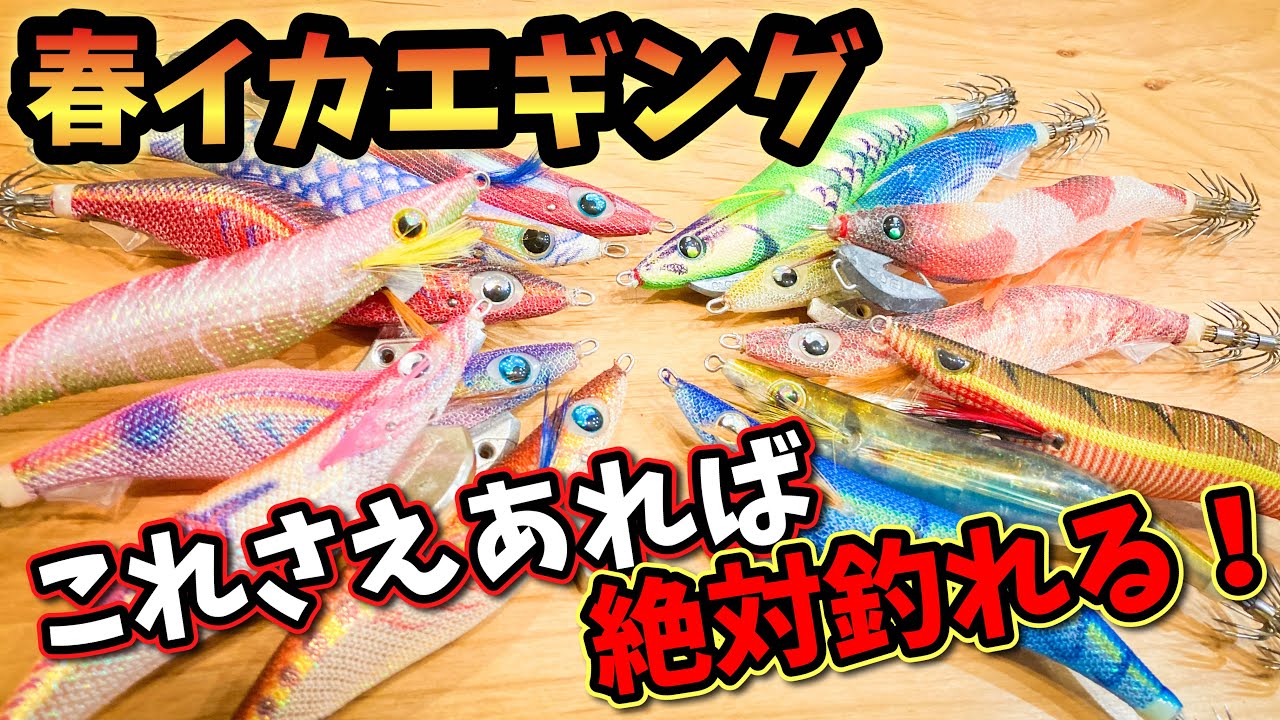 【春イカエギング】これさえあれば絶対釣れる！春用の一軍エギを紹介します！