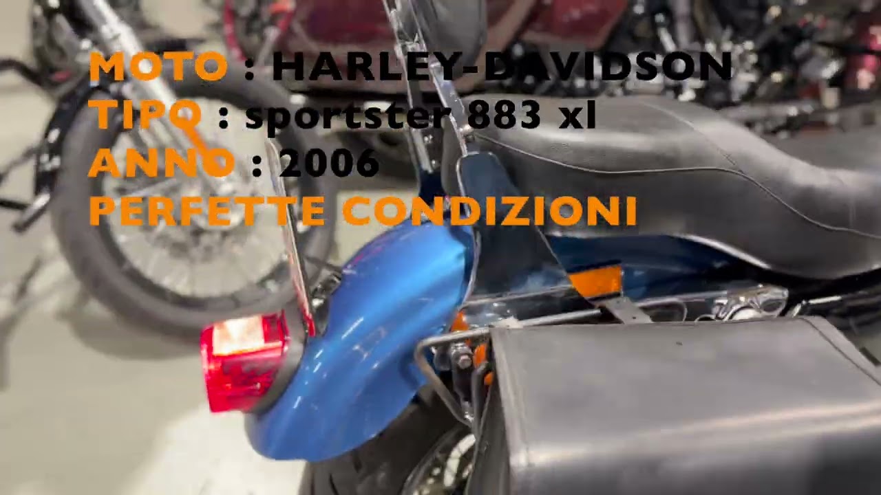 HARLEY DAVIDSON SPORSTER 883 XL usata in vendita EFFEMOTORS SRL