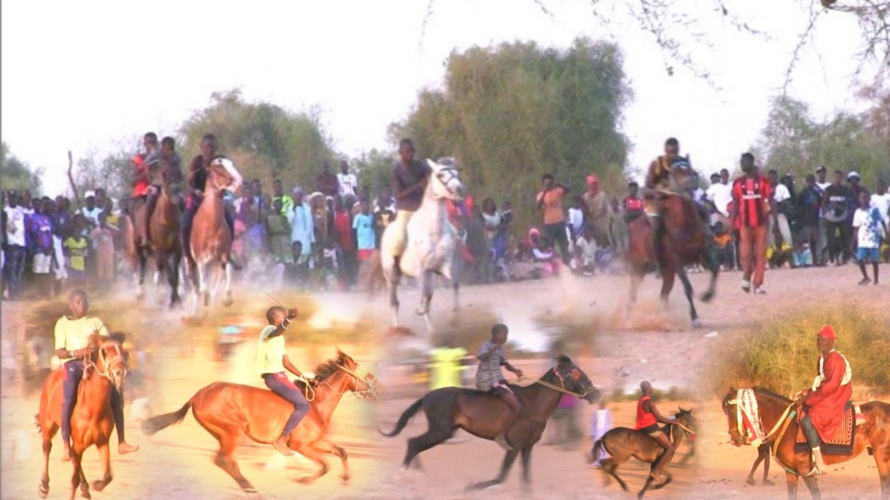 🔴 COURSES HIPPIQUES À THIAMÈNE🐴🐴🐴