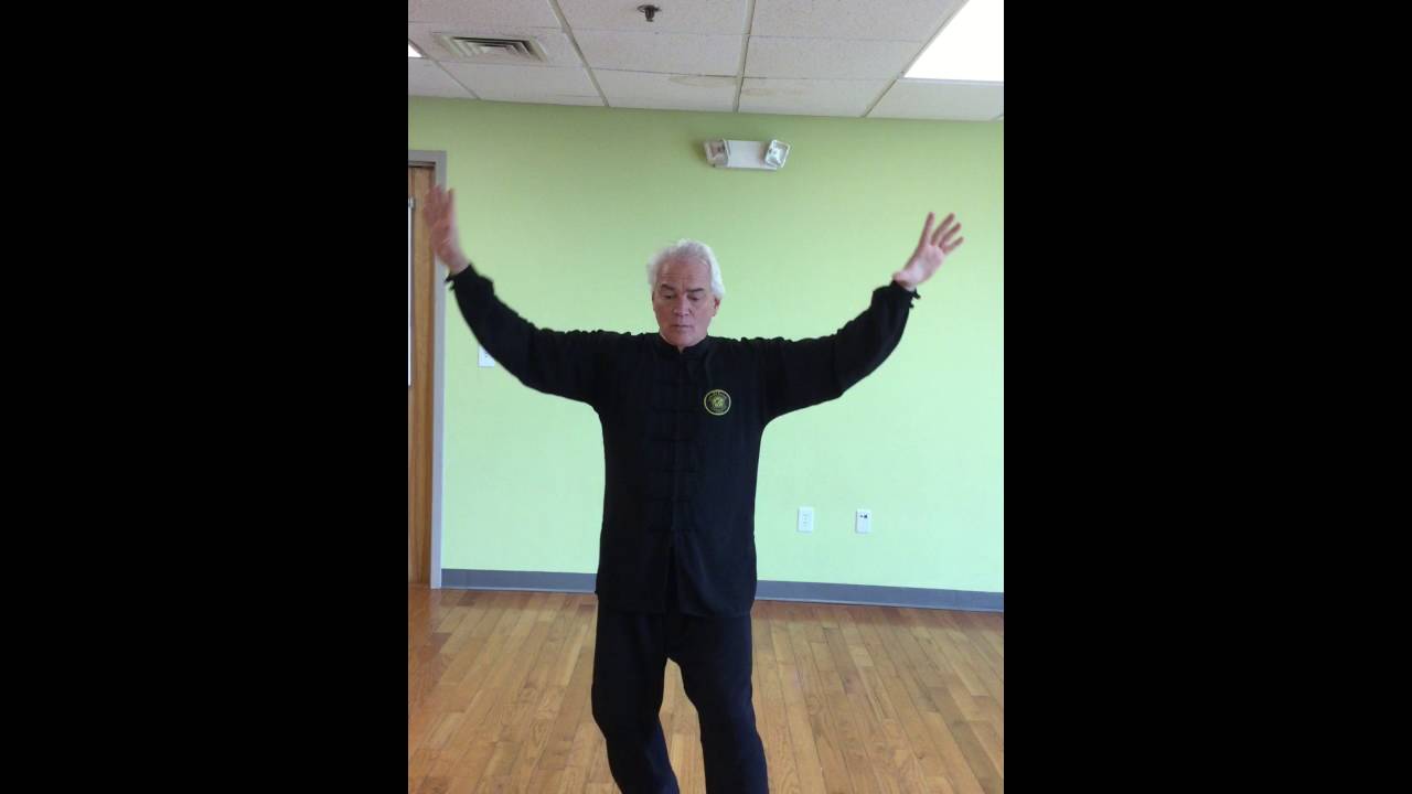 5 Elements Tai Chi Short Form Pt  1
