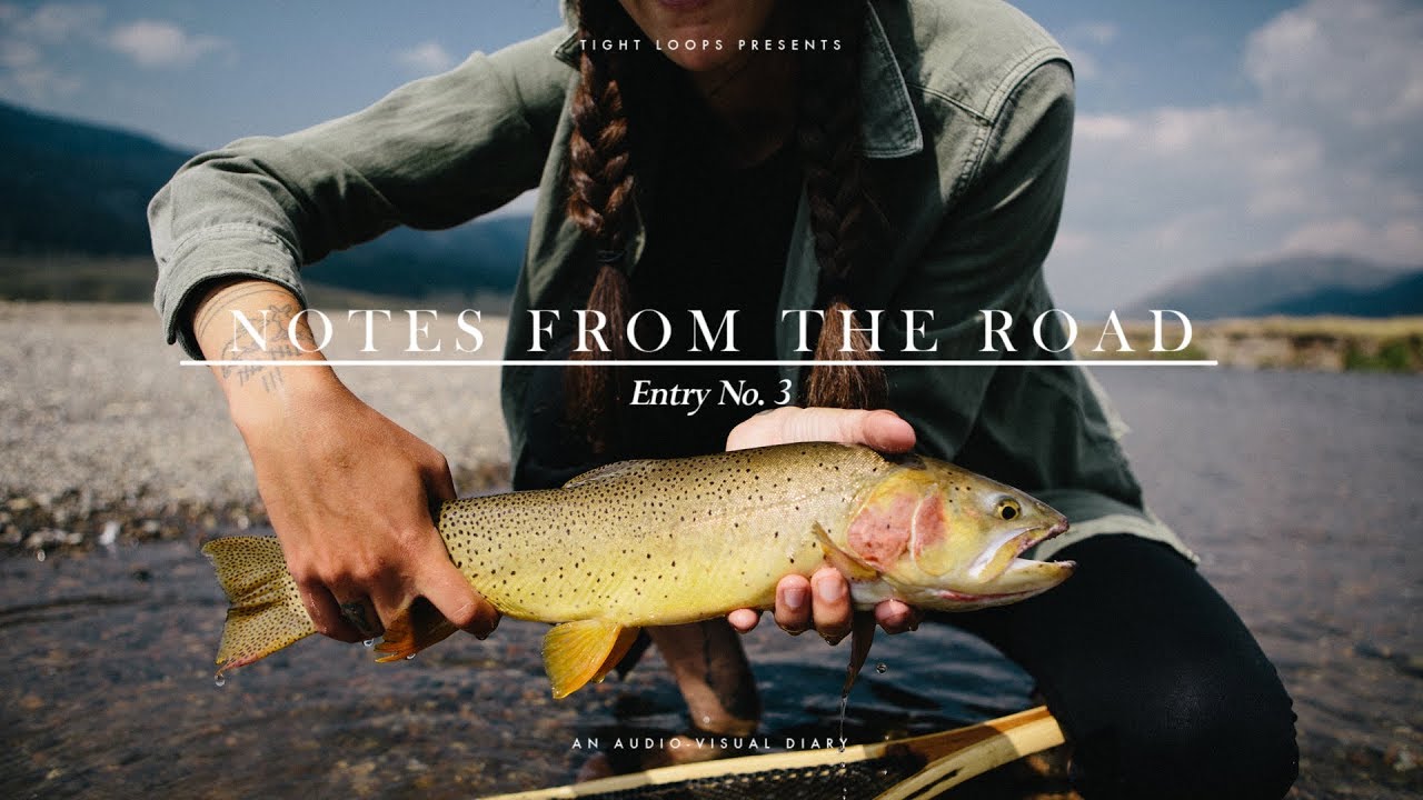 NOTES FROM THE ROAD: Entry No. 3 || FLY FISHING YELLOWSTONE || VAN LIFE 2017