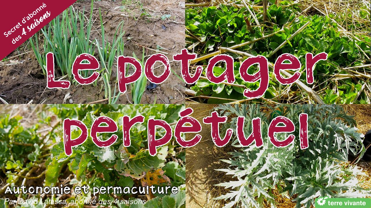 Le potager perpétuel - Autonomie et permaculture avec David