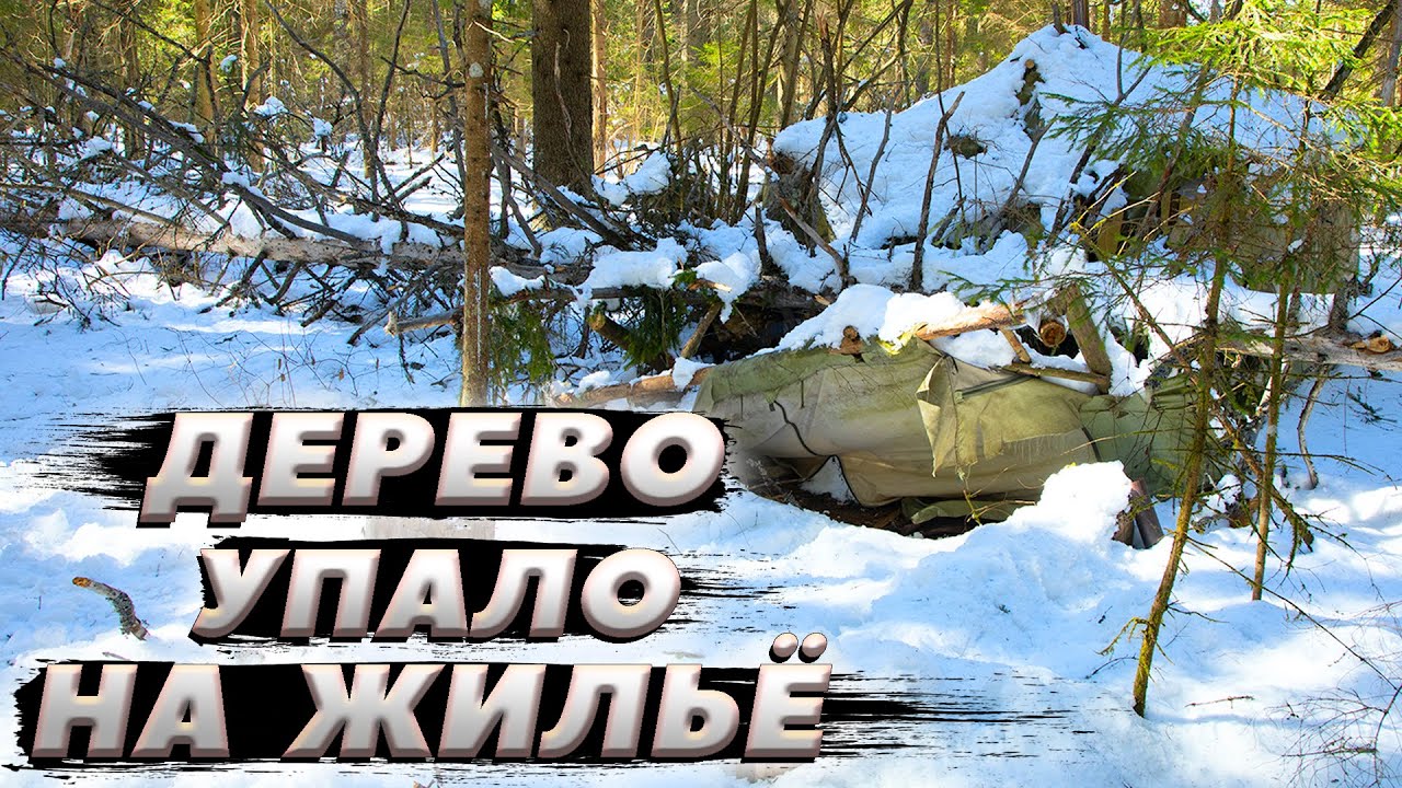 Чуть не раздавило деревом | ЛЕСНОЙ ДОМ | ИЗБА | FOREST HOUSE | DUGOUT | HUT