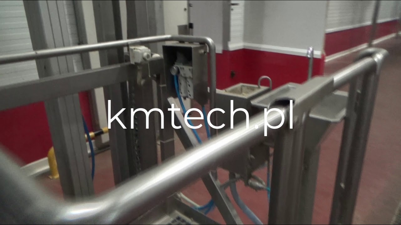 Linia uboju bydła - KMTech
