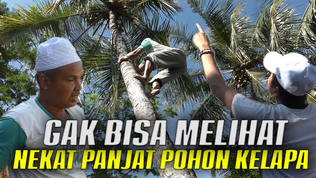 MESKI DILARANG !!! USTAD HAMZAH MAKSA MANJAT POHON KELAPA | AMBILKAN KELAPA MUDA BUAT KANG DEDI