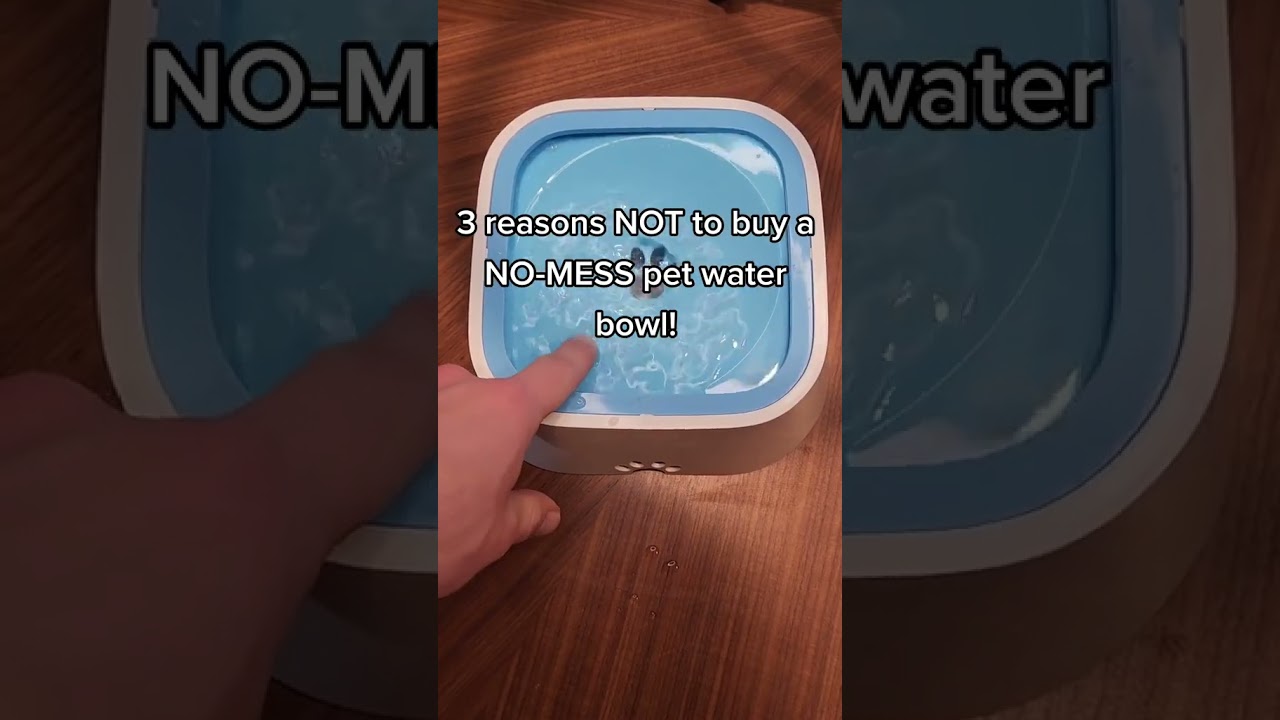 3 Reasons NOT to Buy a NO-MESS Pet Water Bowl!