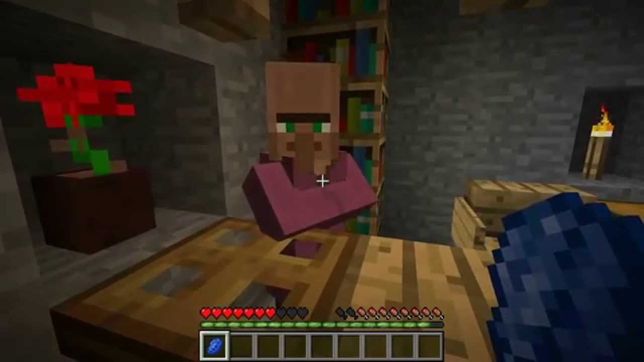 Dos personas adultas jugando a Minecraft