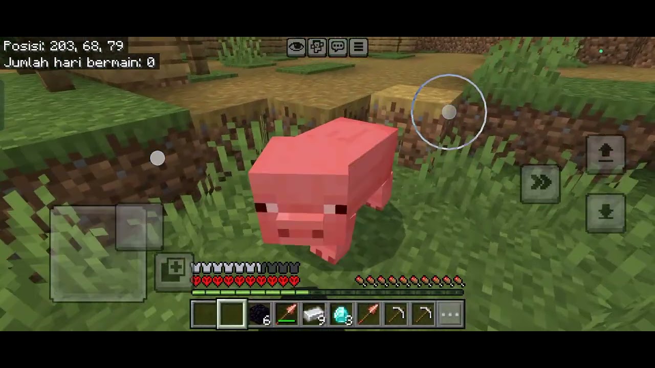 Minecraft Hardcore Part 1
