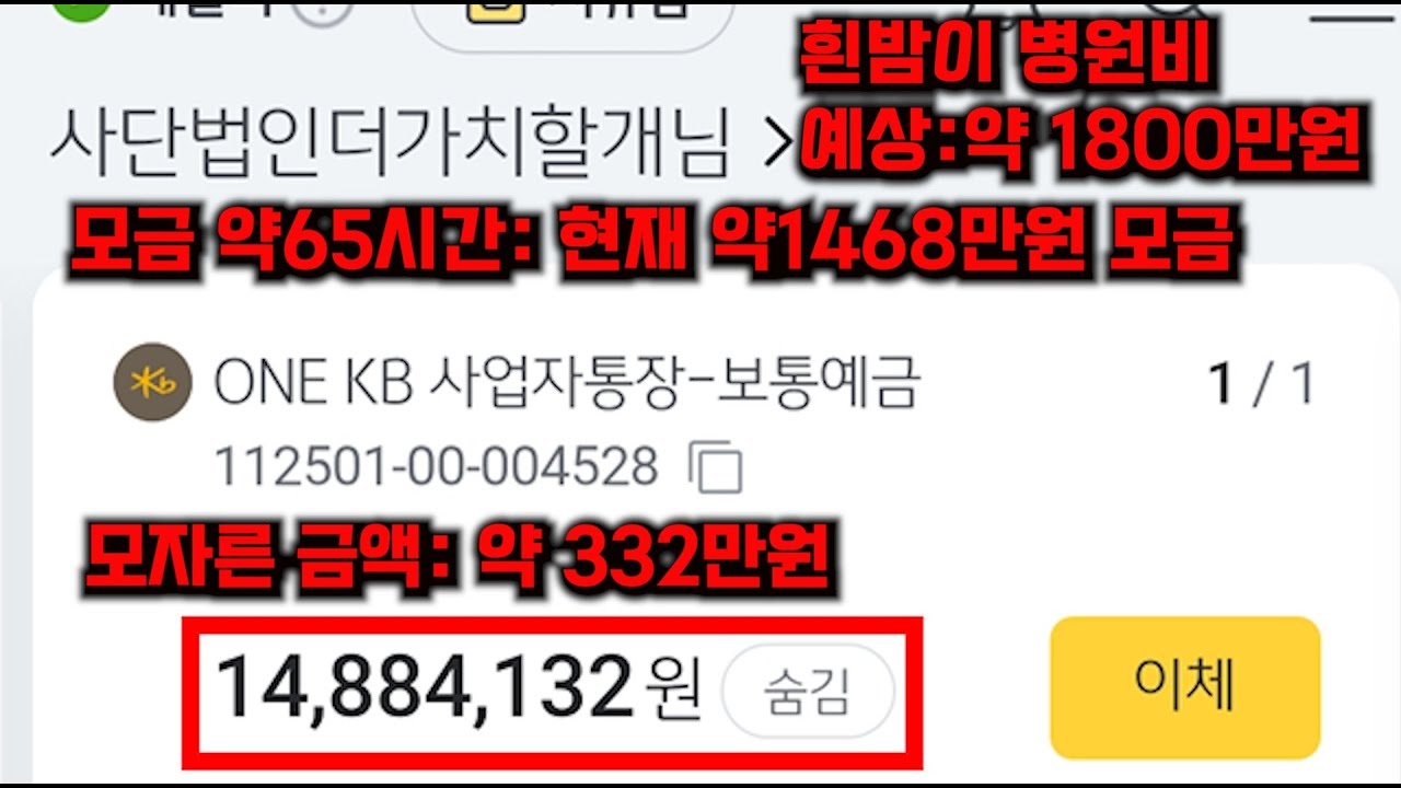 흰밤이 모금 약 65시간째 / 예상 병원비 약 1800만원+@ / 모자른 금액 약 332만원 / 흰밤이 도와주실분들 코코코코먼::) / 3월 17일 낮 라이브 소통 방송