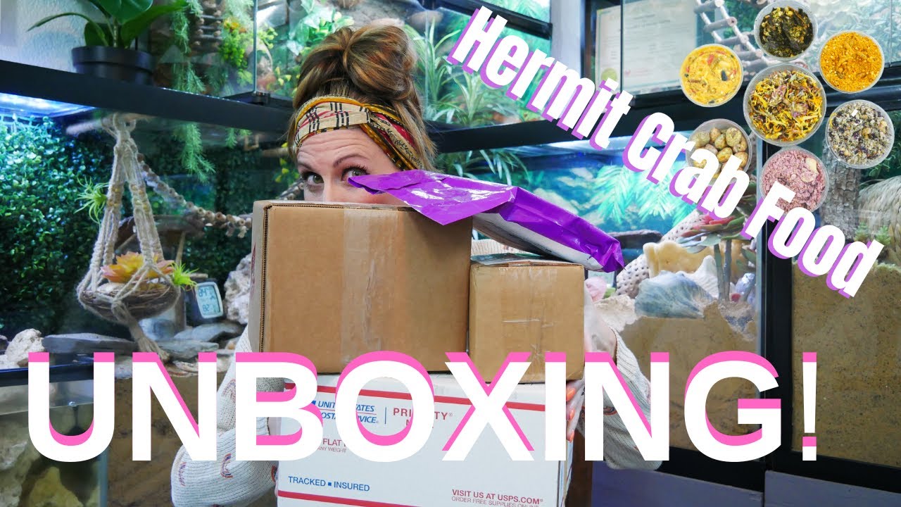 Hermit Crab FOOD Unboxing! | By Crab Central Station