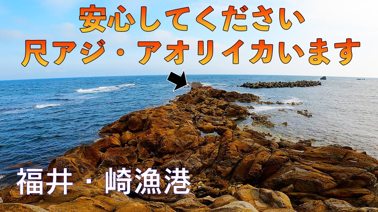 【釣り場動画#131】福井でエギングとアジングが楽しめる穴場、崎漁港は磯にも渡れる面白い釣りポイント