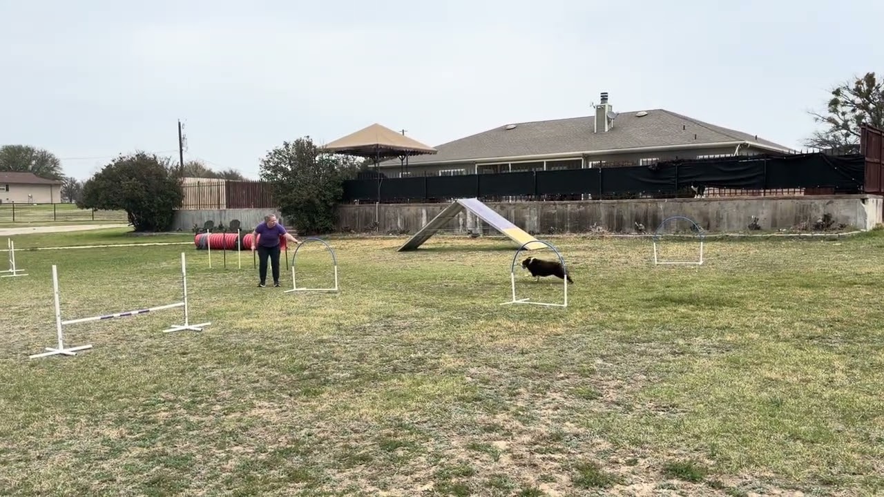 Texas Cowtown Team-Bailey- Round 5